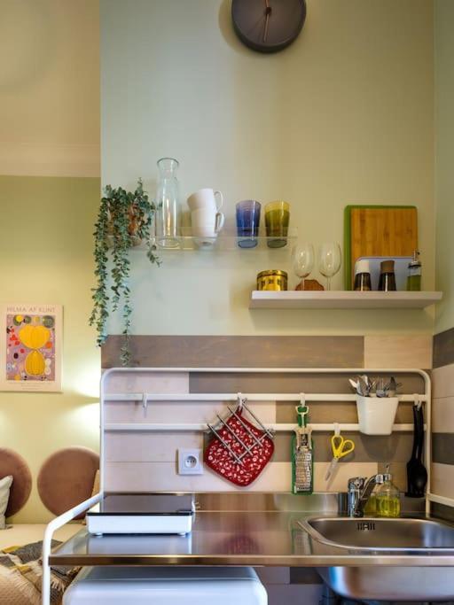 Crocus Narrow / Kochanowskiego Appartement *